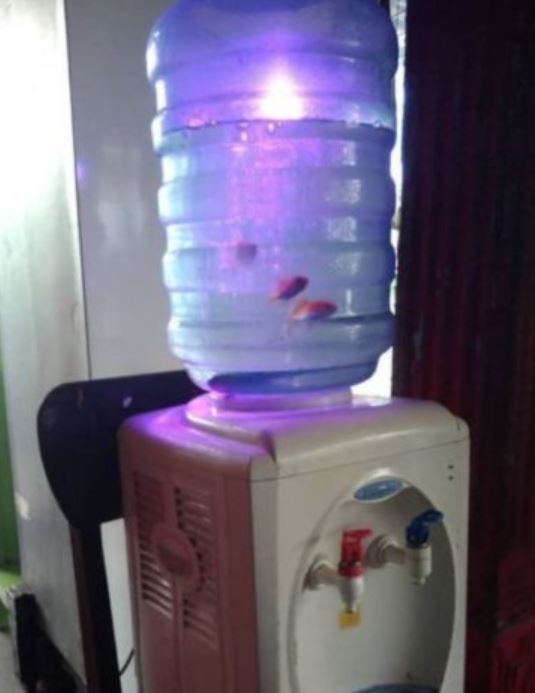 Selain Nampung Galon, 3 Fungsi Dispenser Ini Juga Istimewa Loh